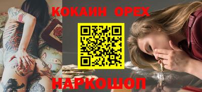СК Новодвинск