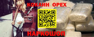 СК Новодвинск