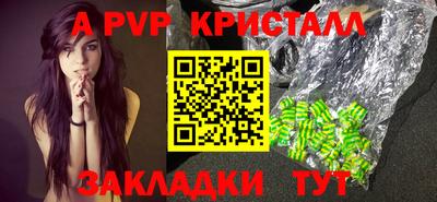 СК Новодвинск