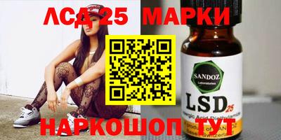 молекула духа Новозыбков