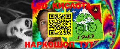 молекула духа Новозыбков