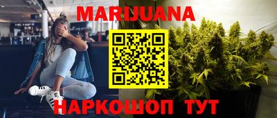 СК Новодвинск