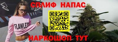 молекула духа Новозыбков
