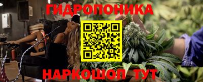 СК Новодвинск