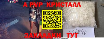 СК Новодвинск