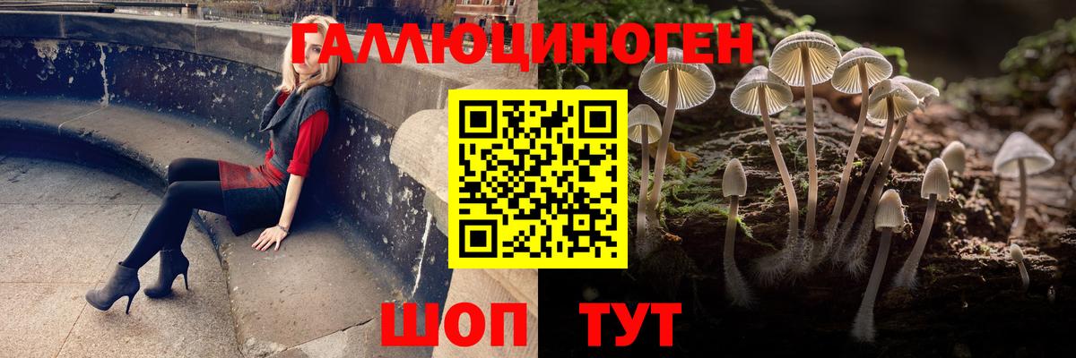 Галлюциногенные грибы Cubensis  Вход с VPN  Узловая 